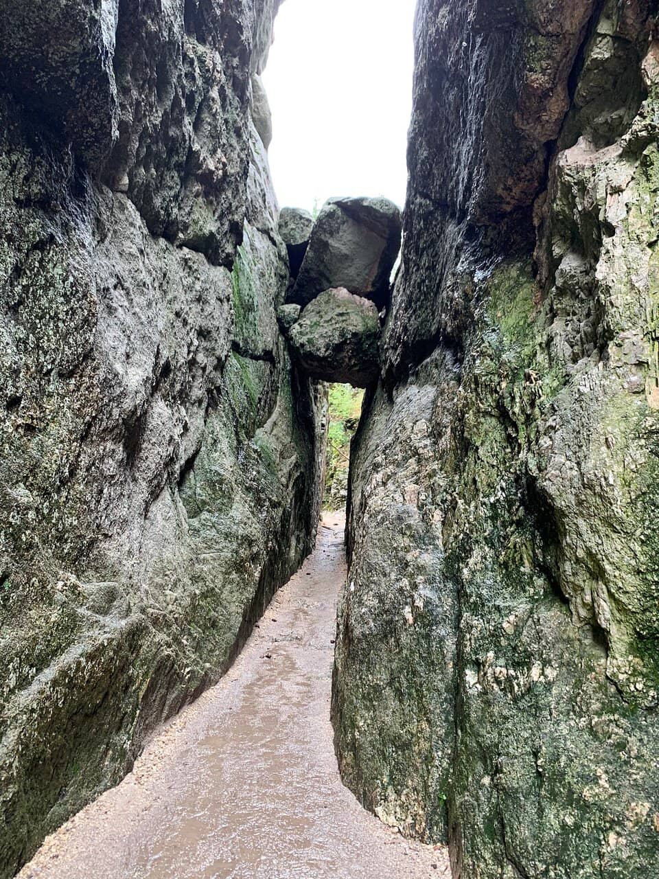 Vertical photo