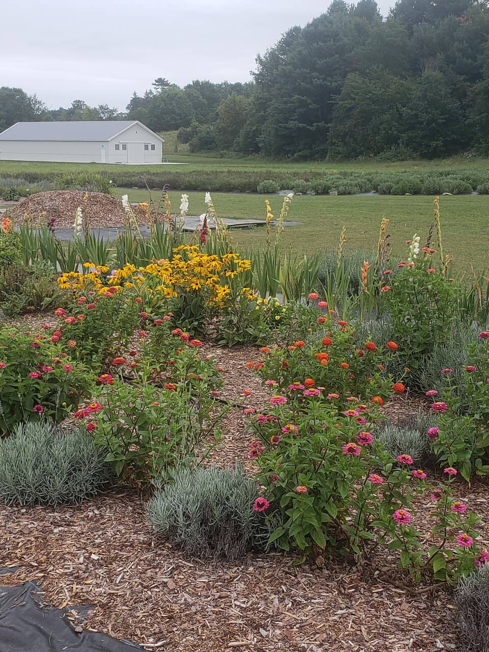 Vineyard Views & Refreshments