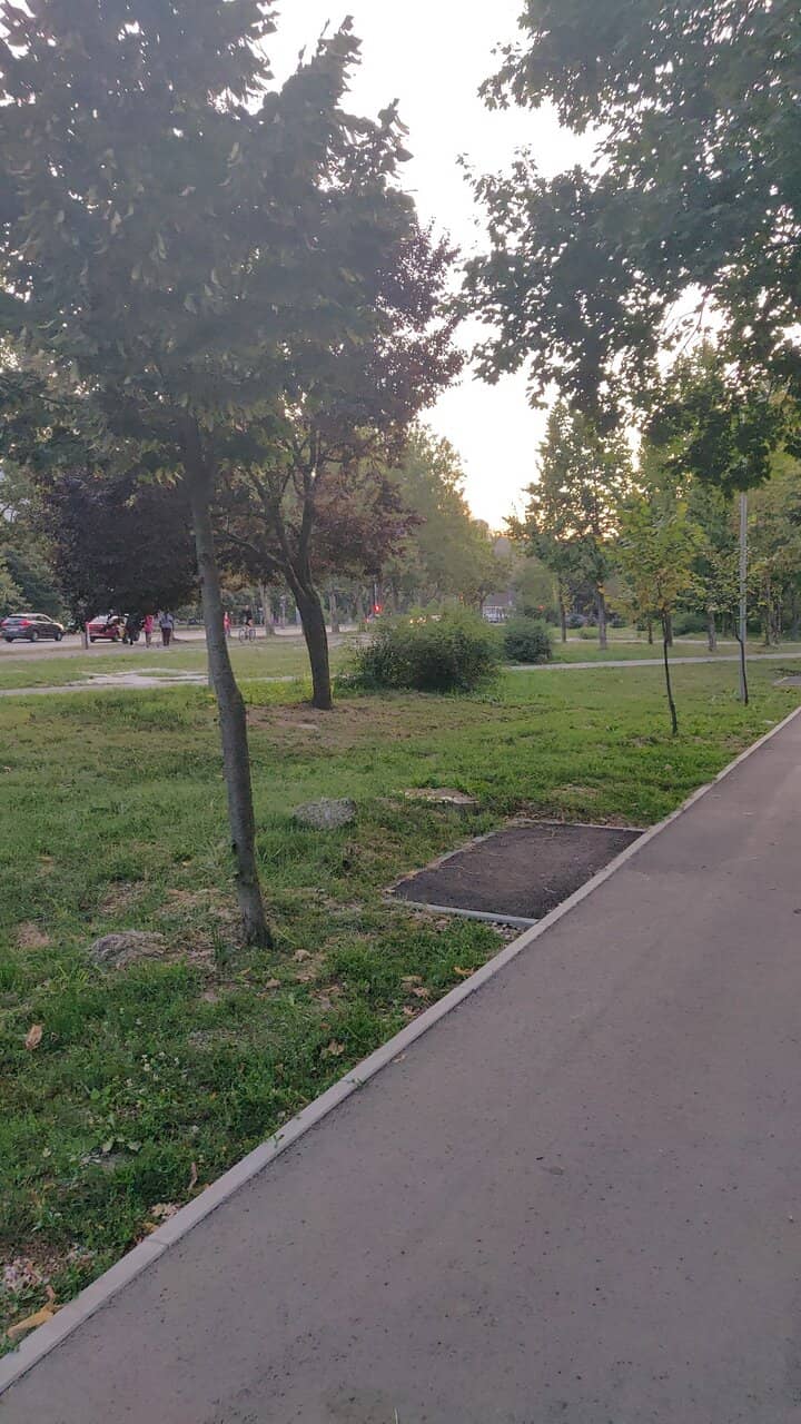 Adventure Playgrounds