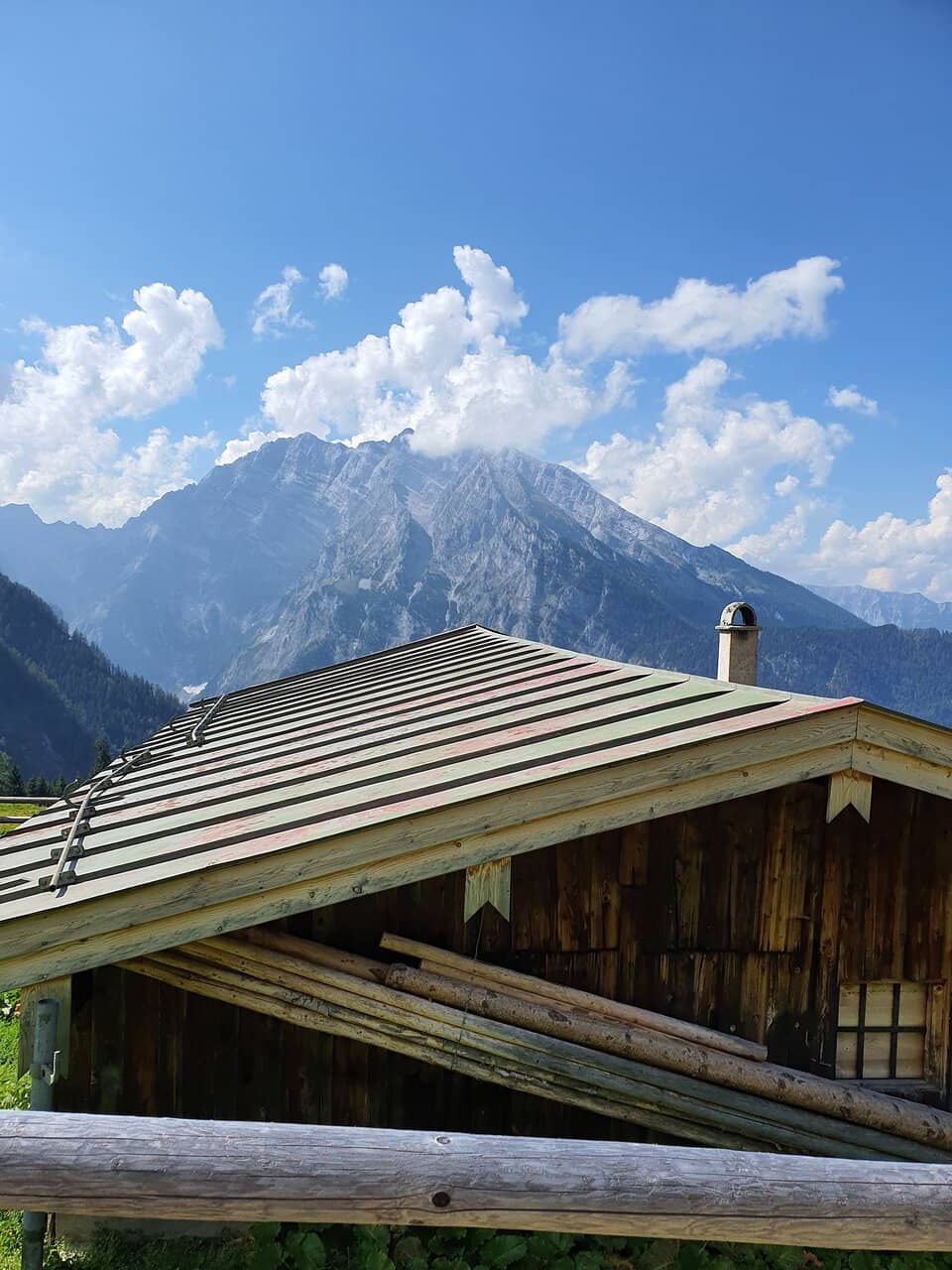 Fresh Dairy Delights