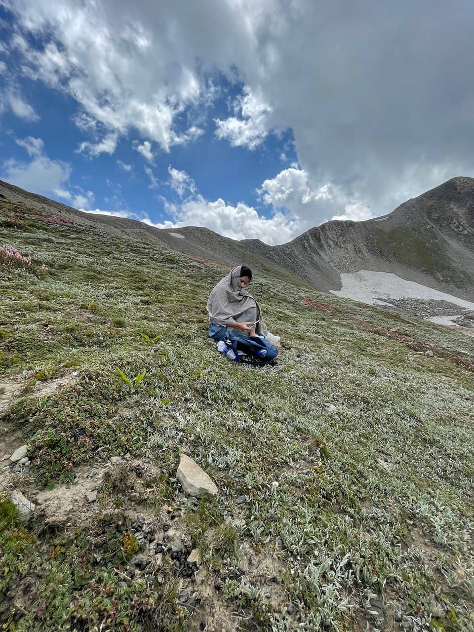 Vibrant Alpine Flowers