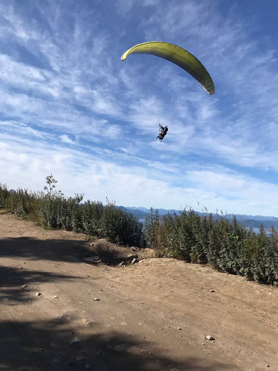 Bay and Ocean Outlook