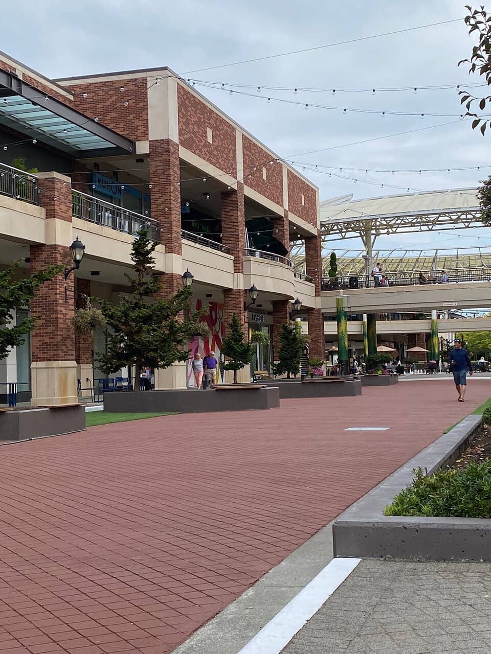 Festive Holiday Decorations