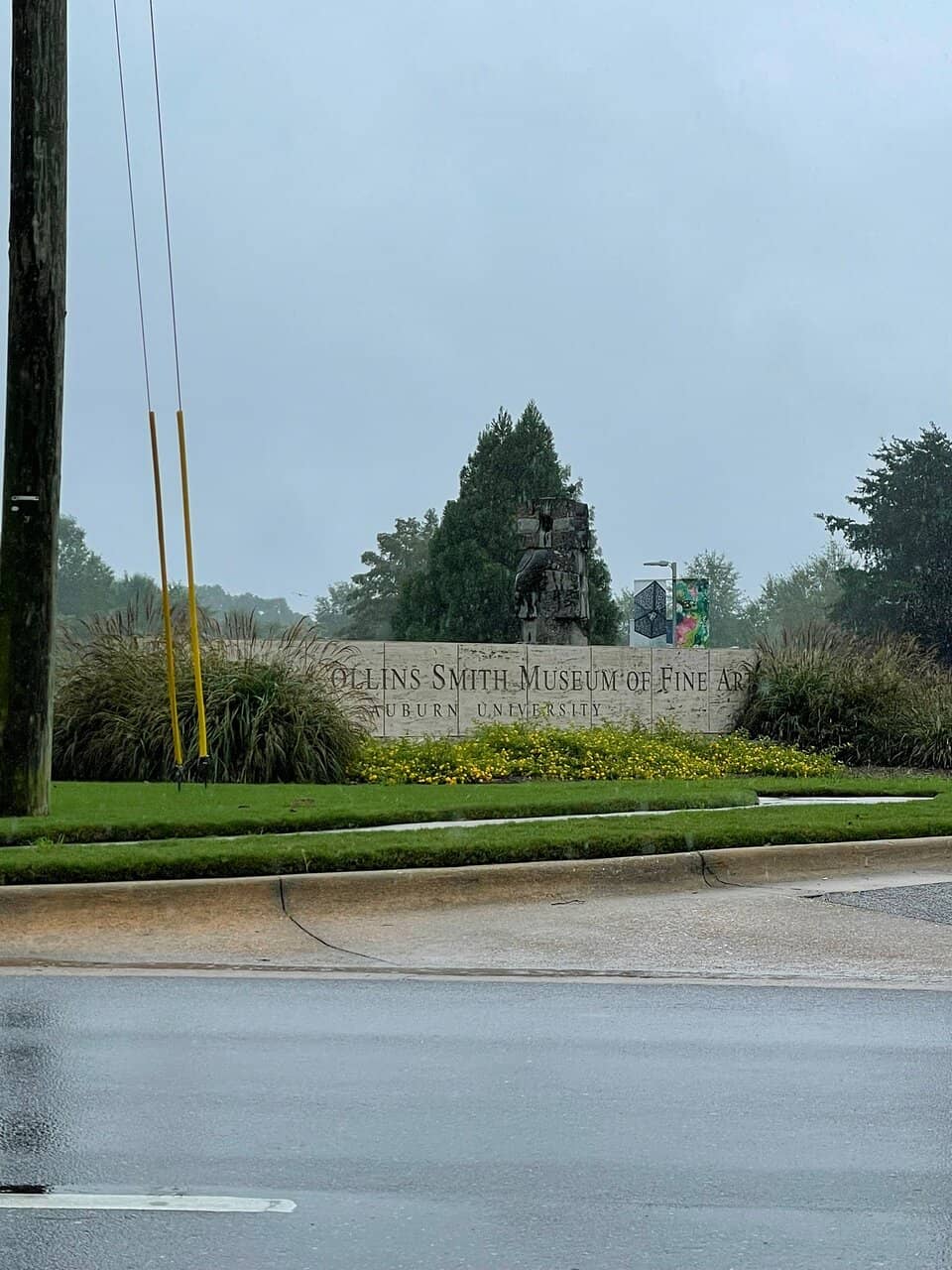 Collaborative Animal Art