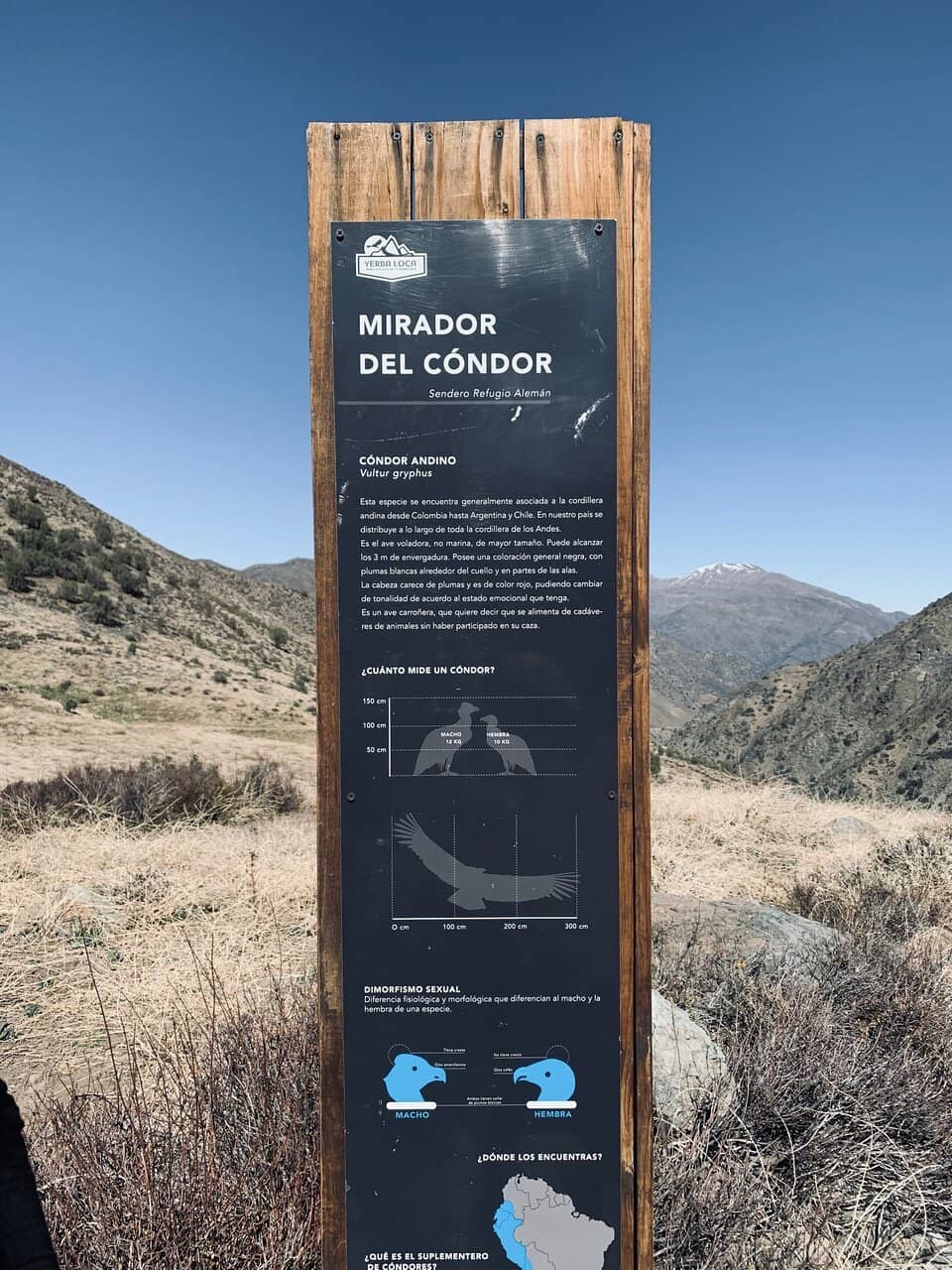 Camping Under the Stars