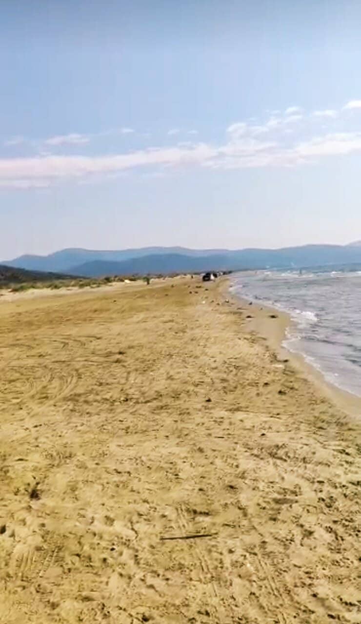 Expansive Sandy Shoreline