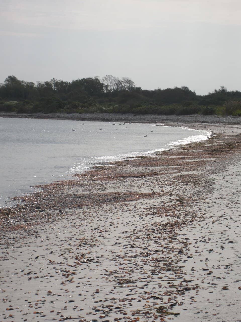 Stanley Park Concession Patio