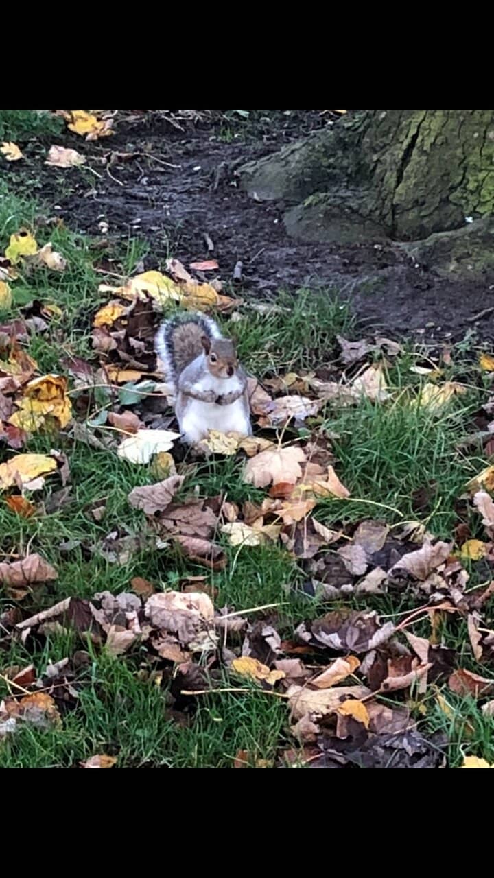 Victorian Architecture