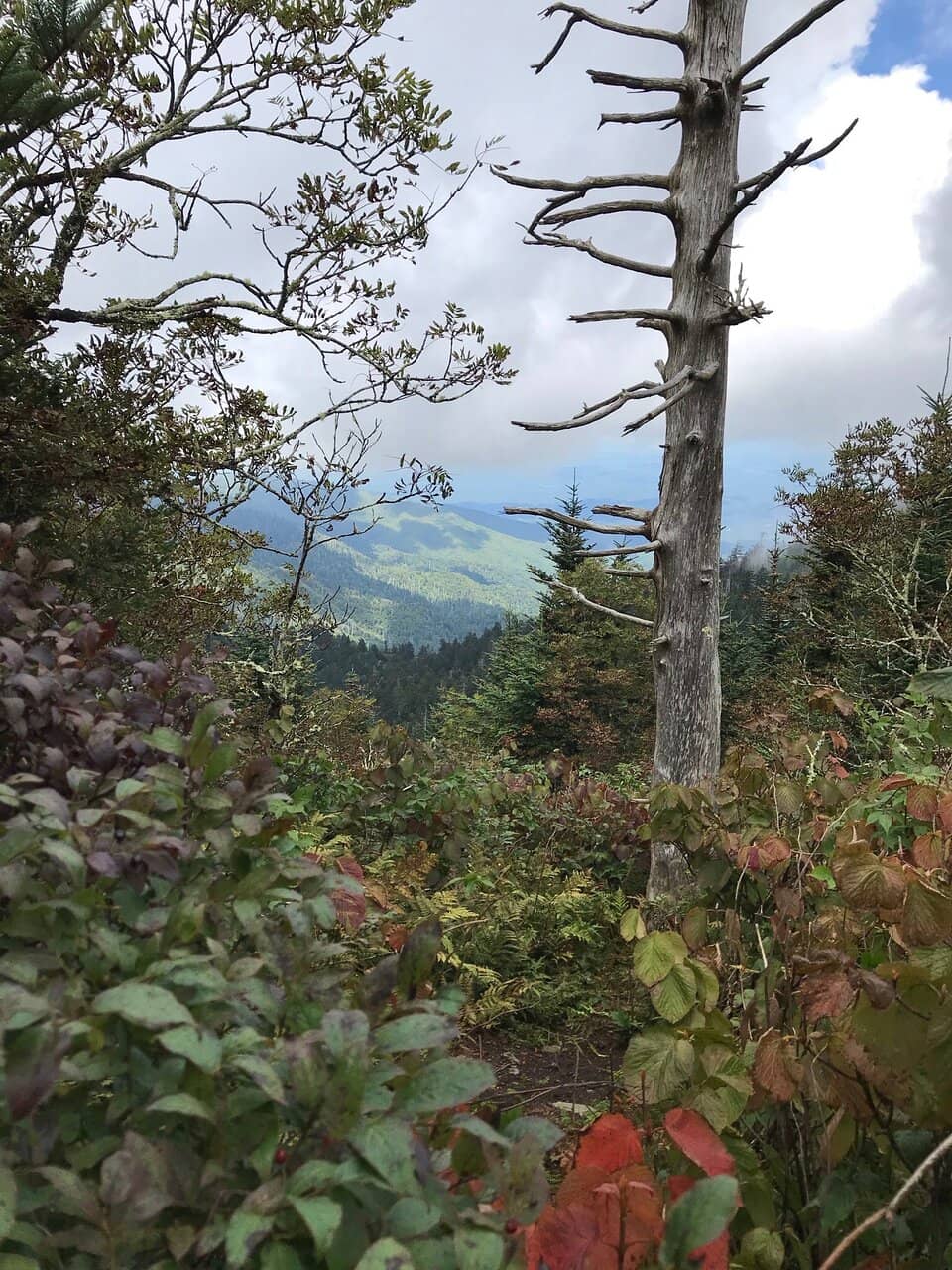 Sunrise/Sunset Views