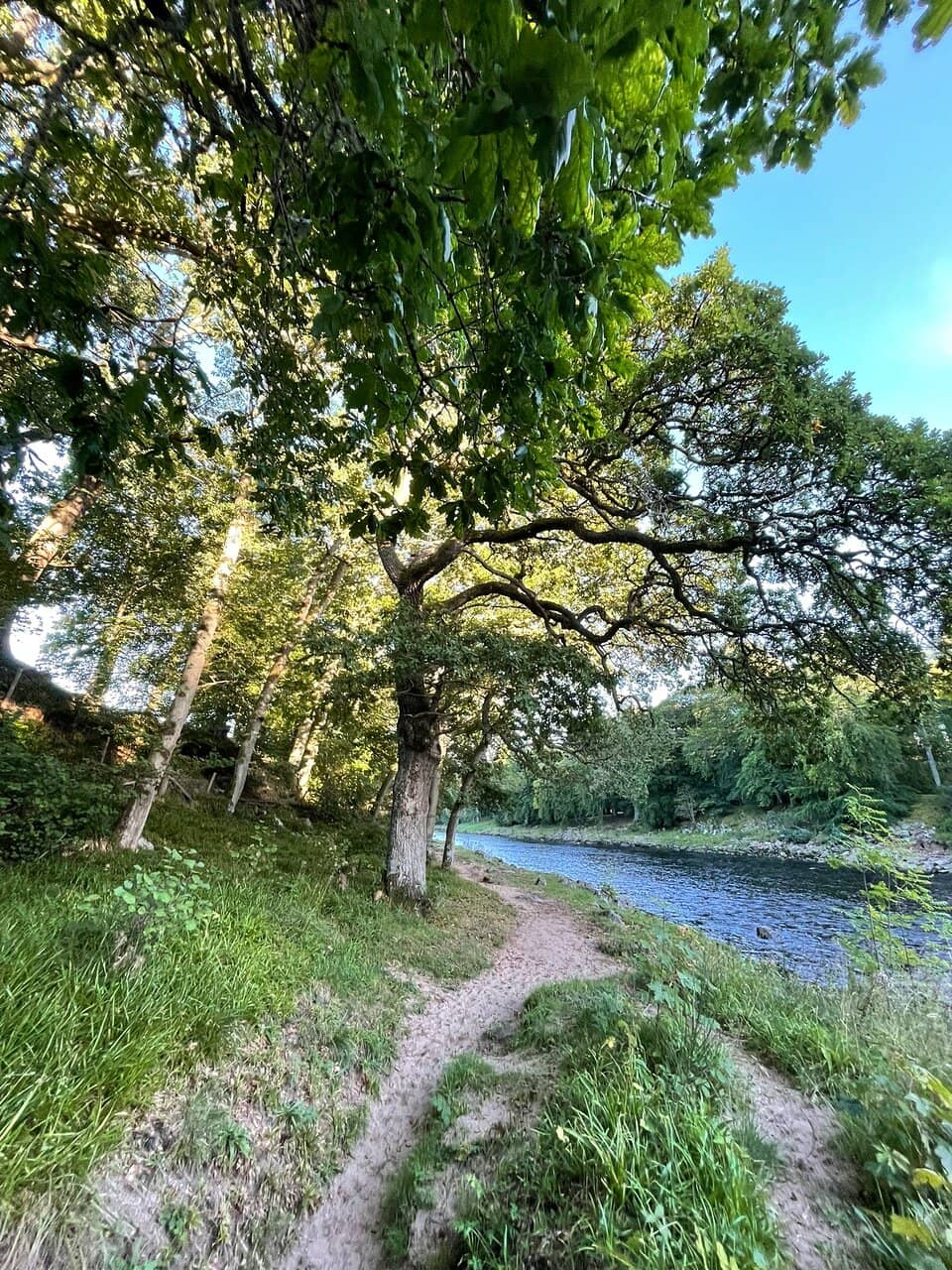 Peaceful Contemplation