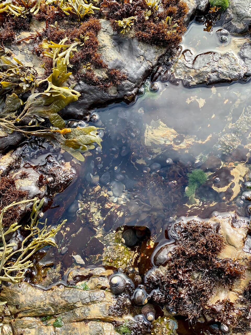 Abundant Wildlife Sightings