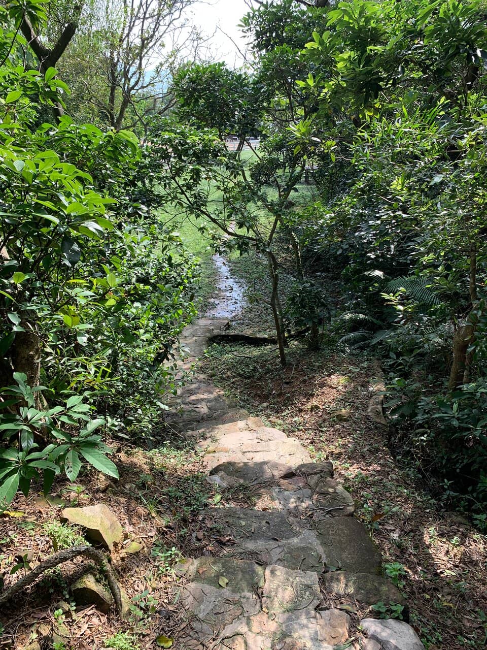 Highland Cattle & Konik Horses