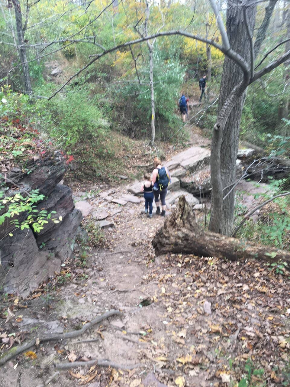 Tohickon Creek Trail