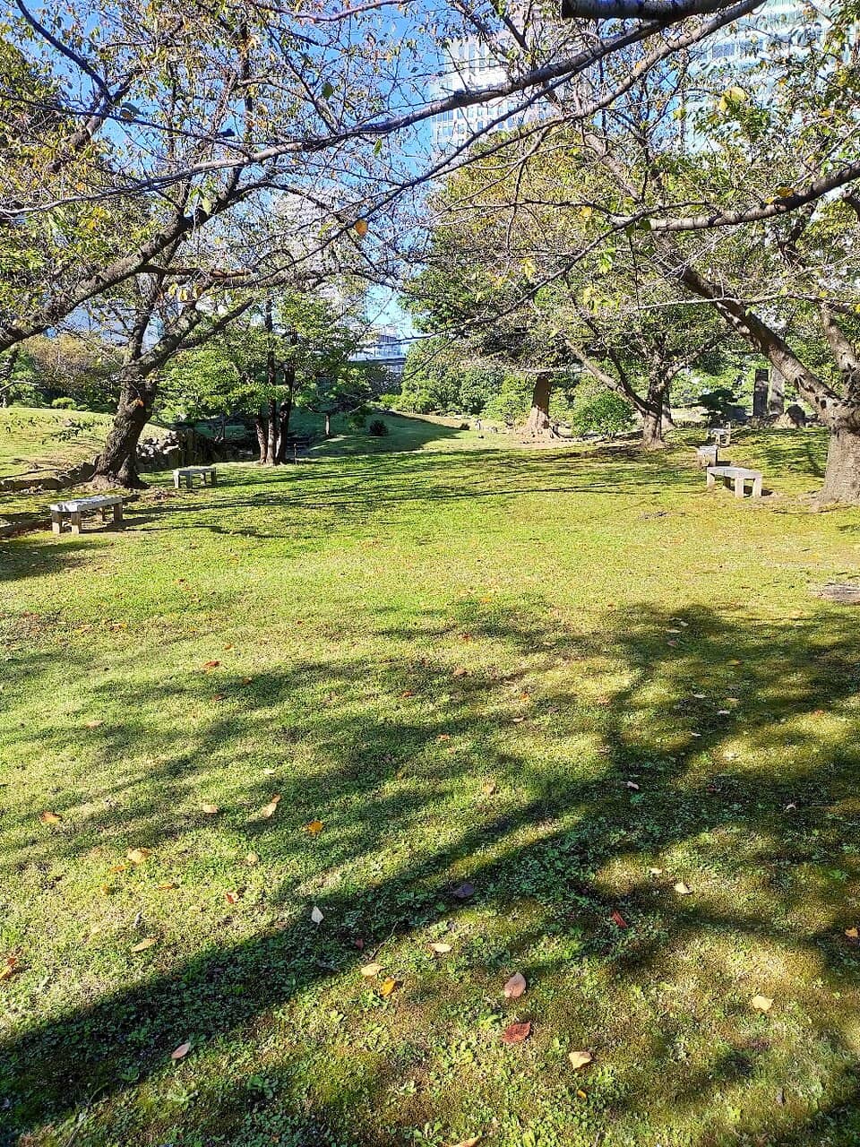 Tranquil Pond and Bridges