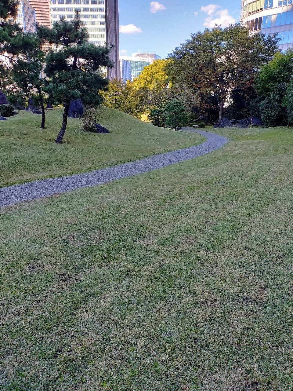Vertical photo