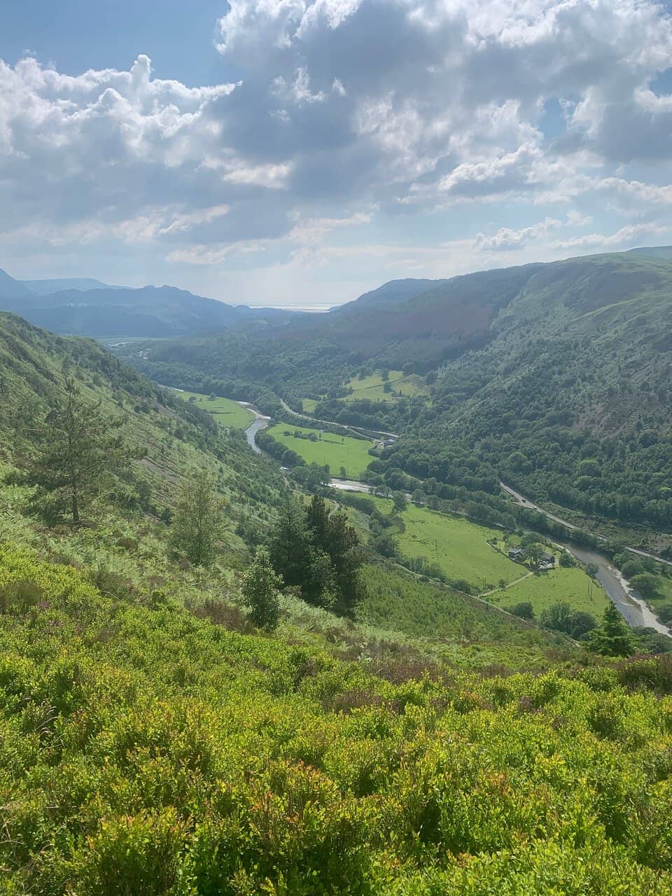 Mawddach Estuary Views
