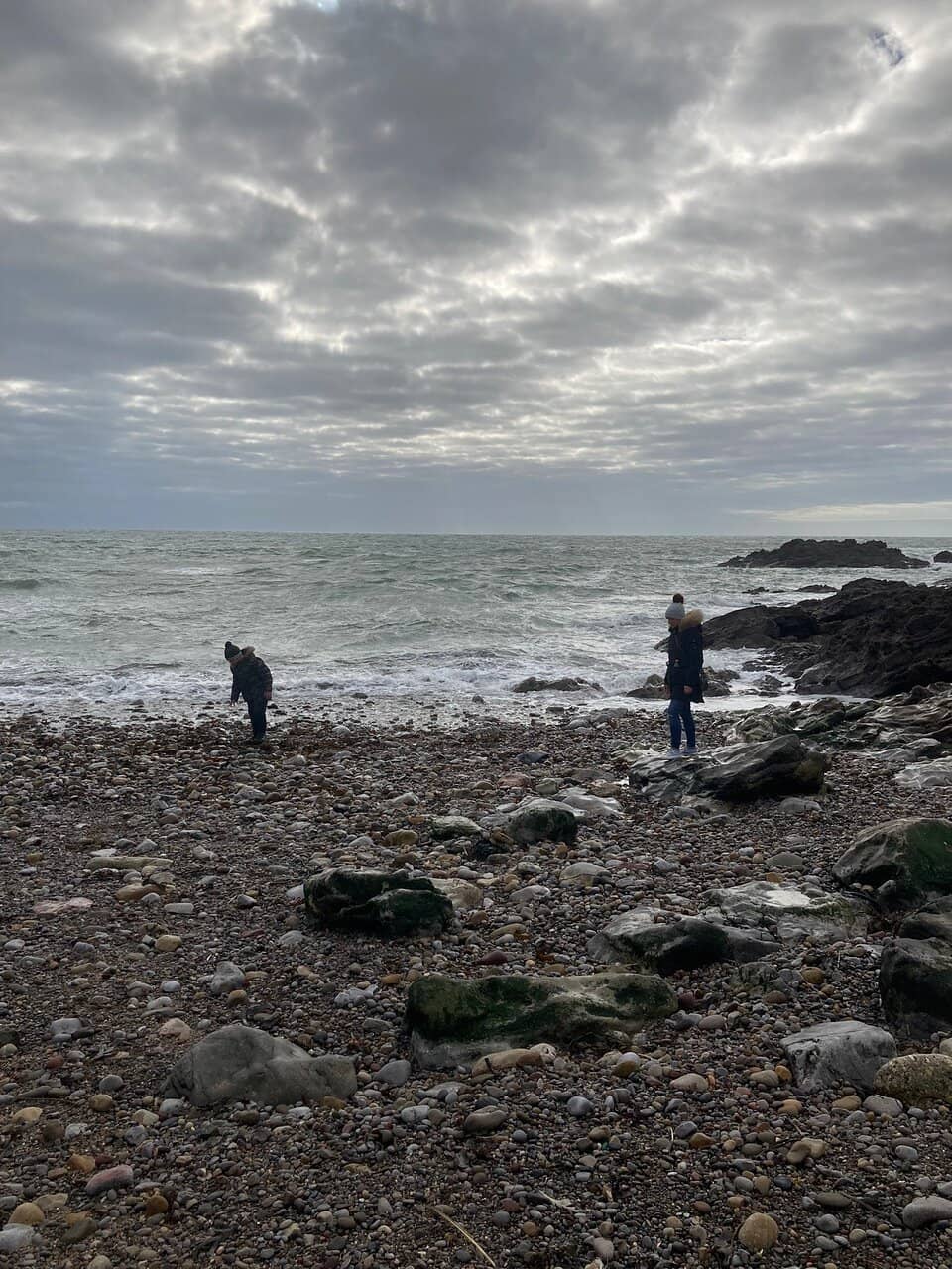 Rockpooling Adventures