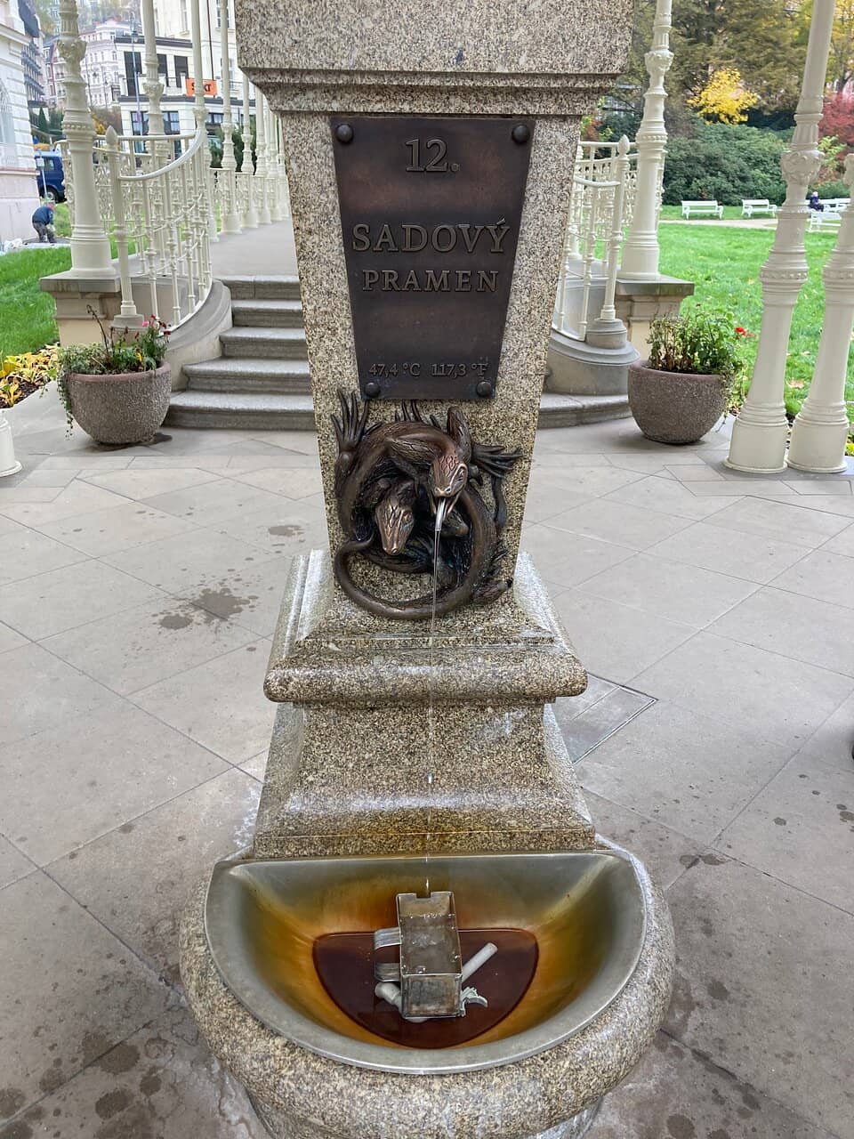 Lush Surrounding Park