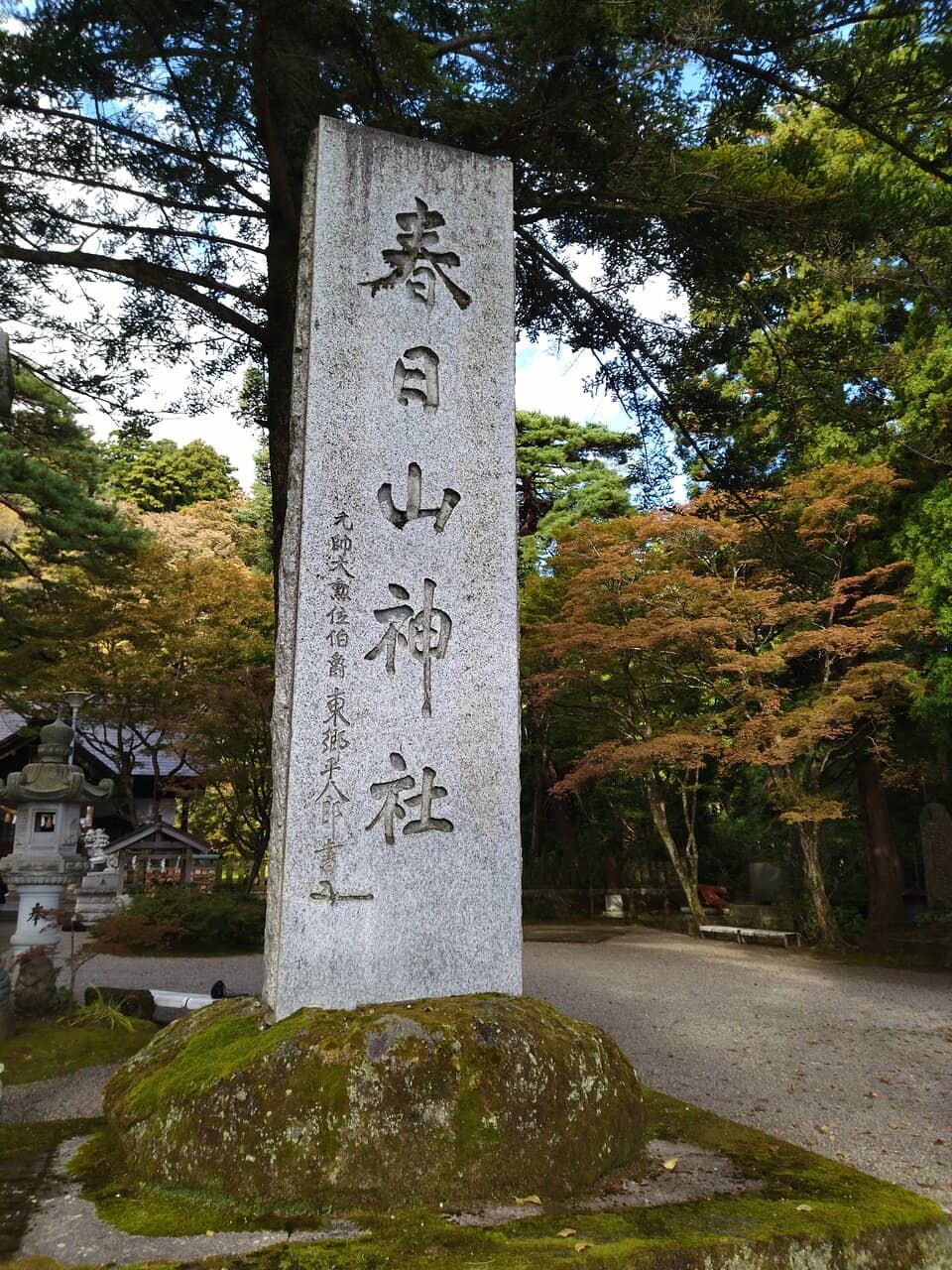 Panoramic City Views