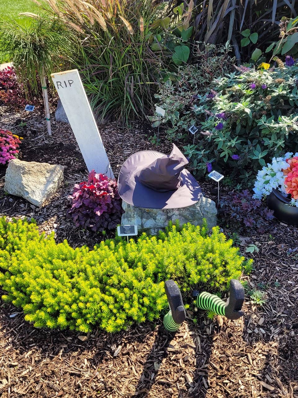 Tranquil Nature Escape