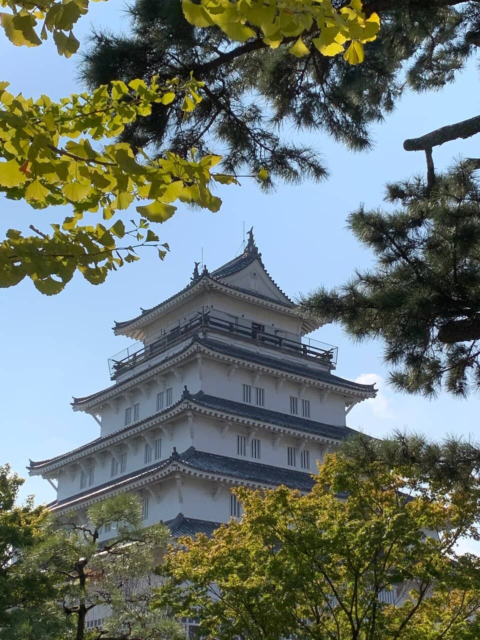 Samurai Culture Displays