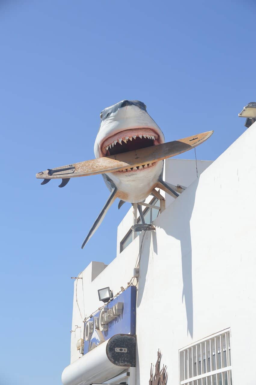Sheltered Swimming Spot