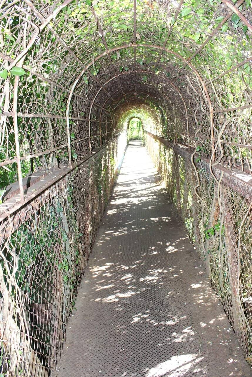 Panoramic Ravine Views