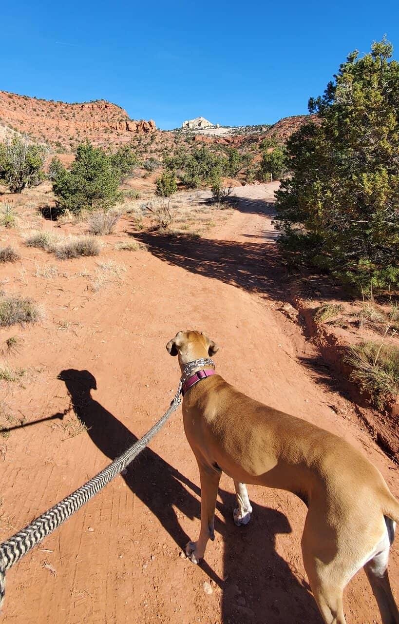 Panoramic Canyon Views