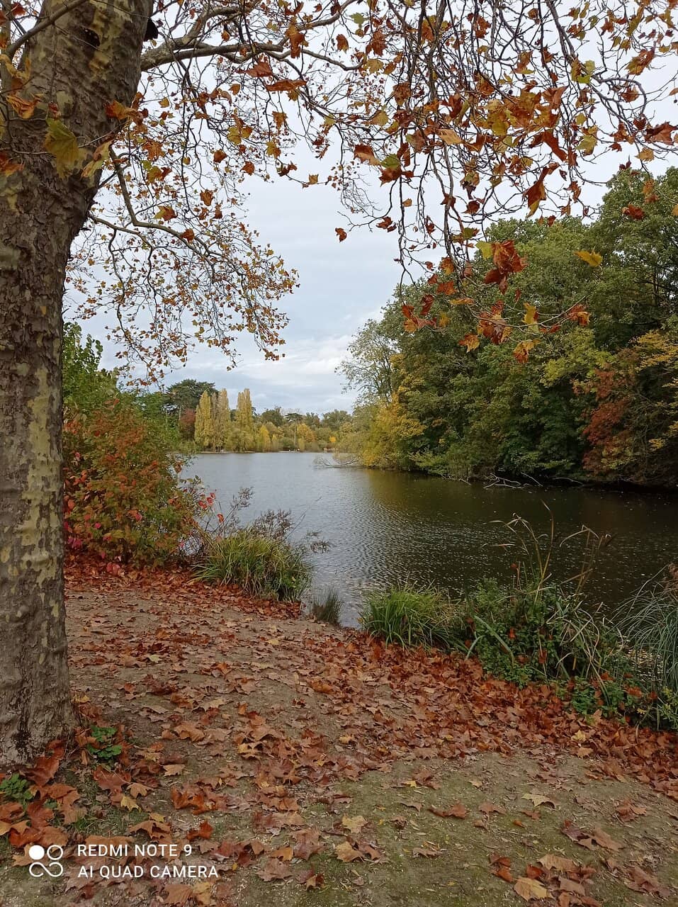 Nature and Wildlife Spotting