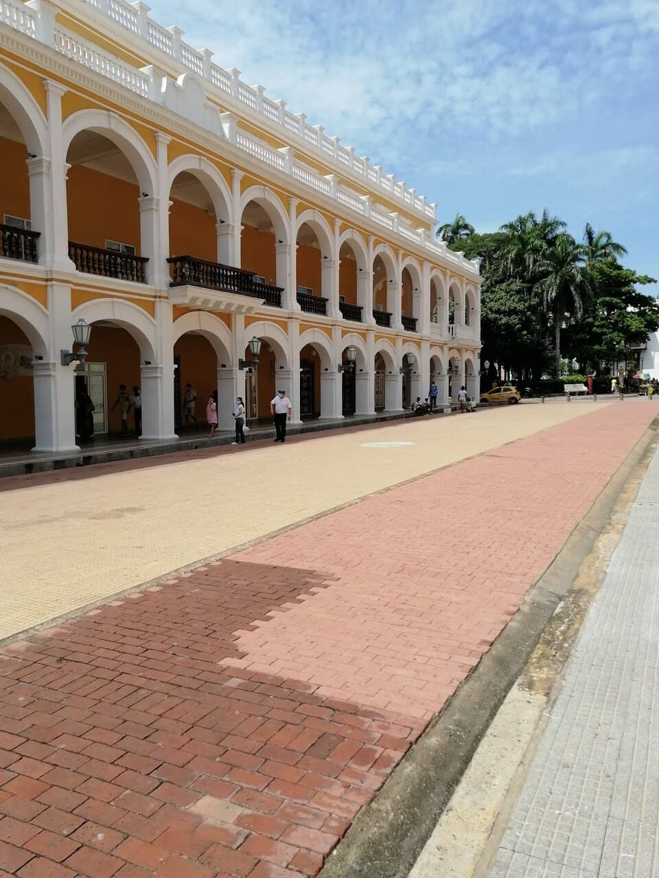 The Pigeon Whisperer