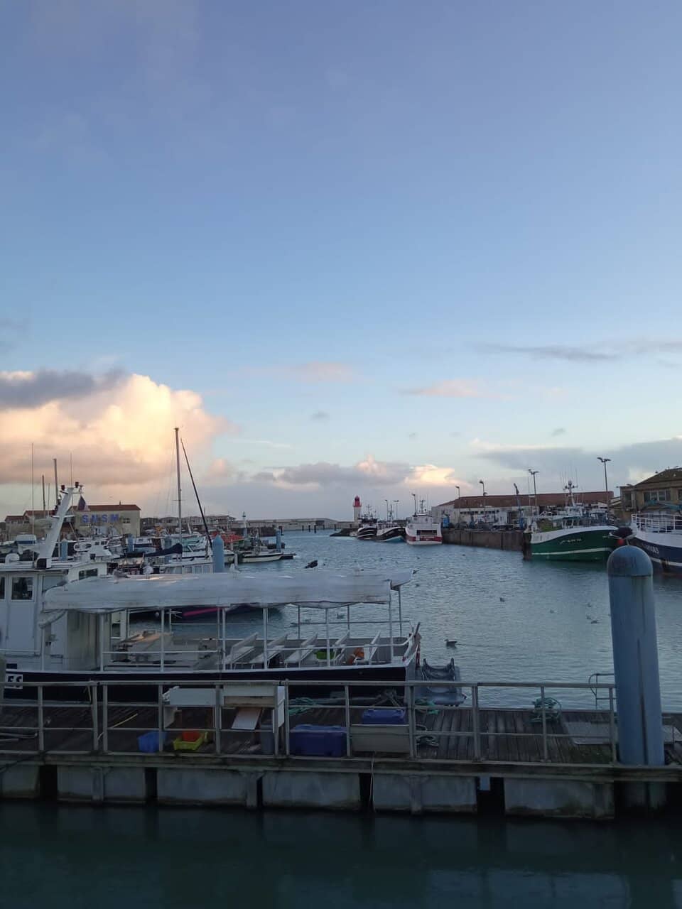 The Picturesque Harbor