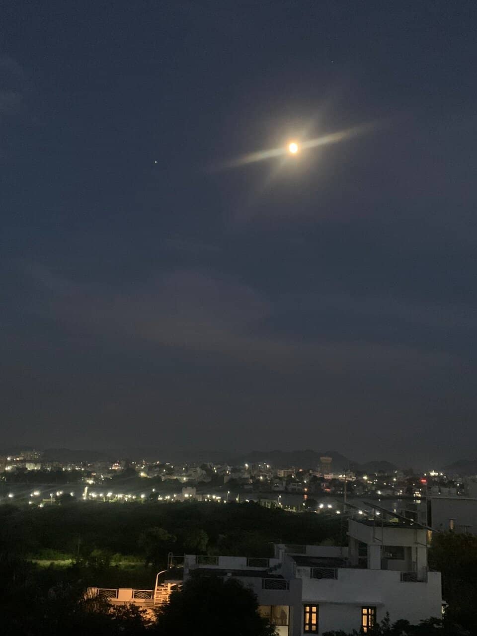 Blooming Lotus Paradise