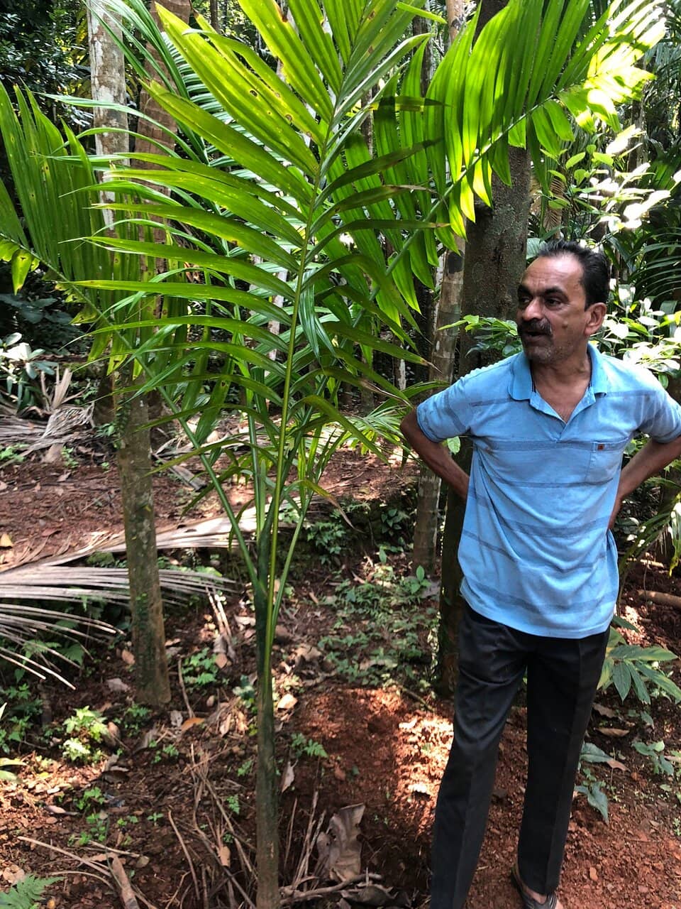 Feni Ritual Experience