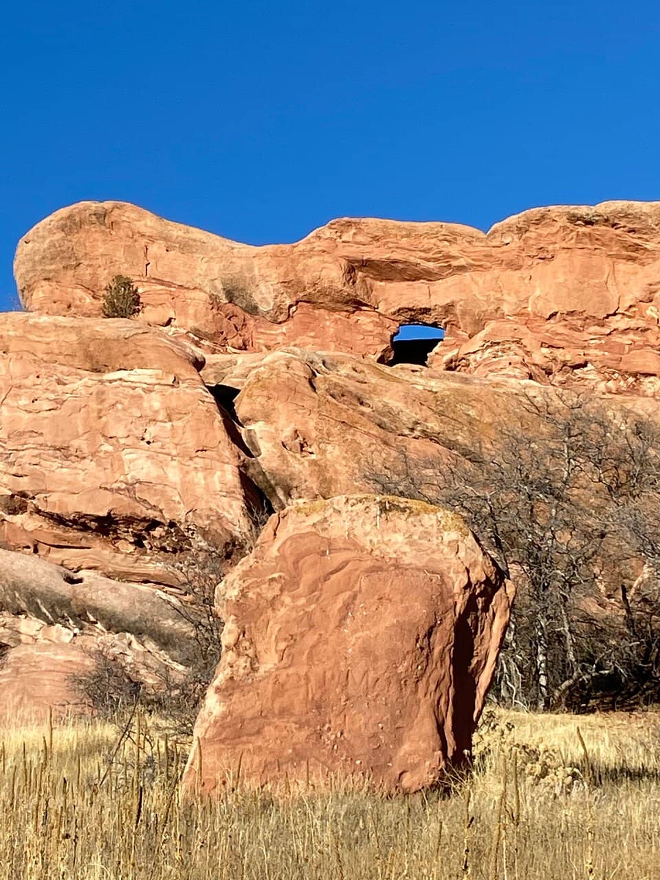 Meadow & Mountain Vistas