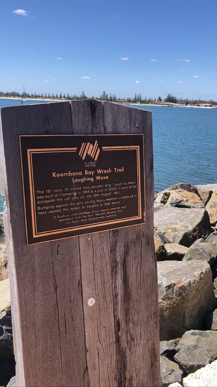 Marine Life Sightings