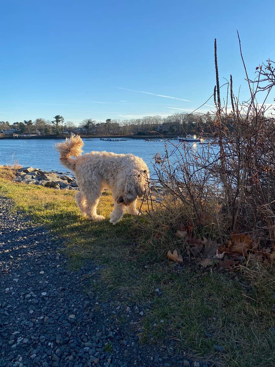 Arran's Coastal Charm