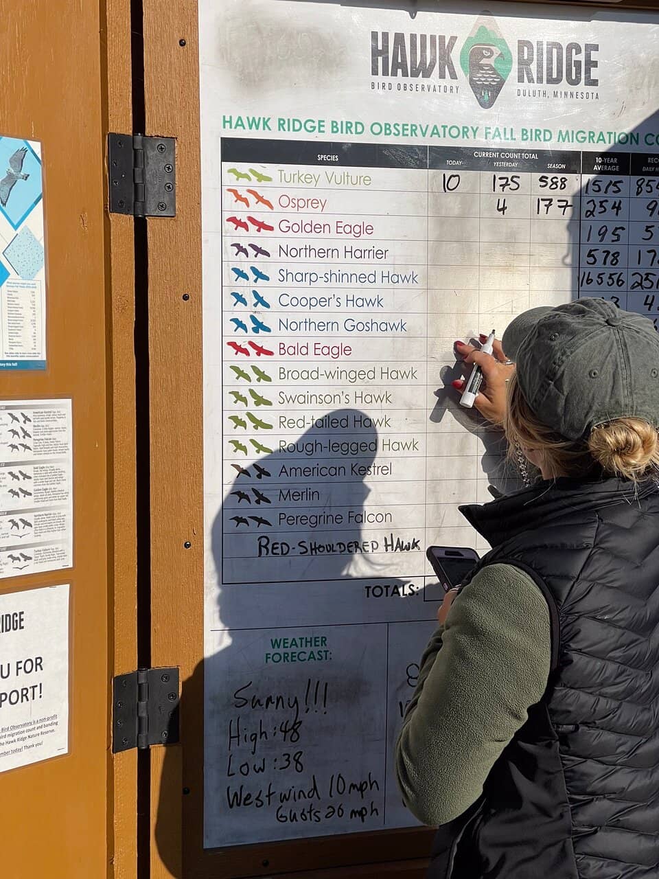 Panoramic Lake Superior Views