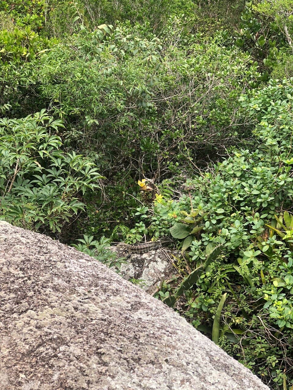 Águas Claras e Mornas