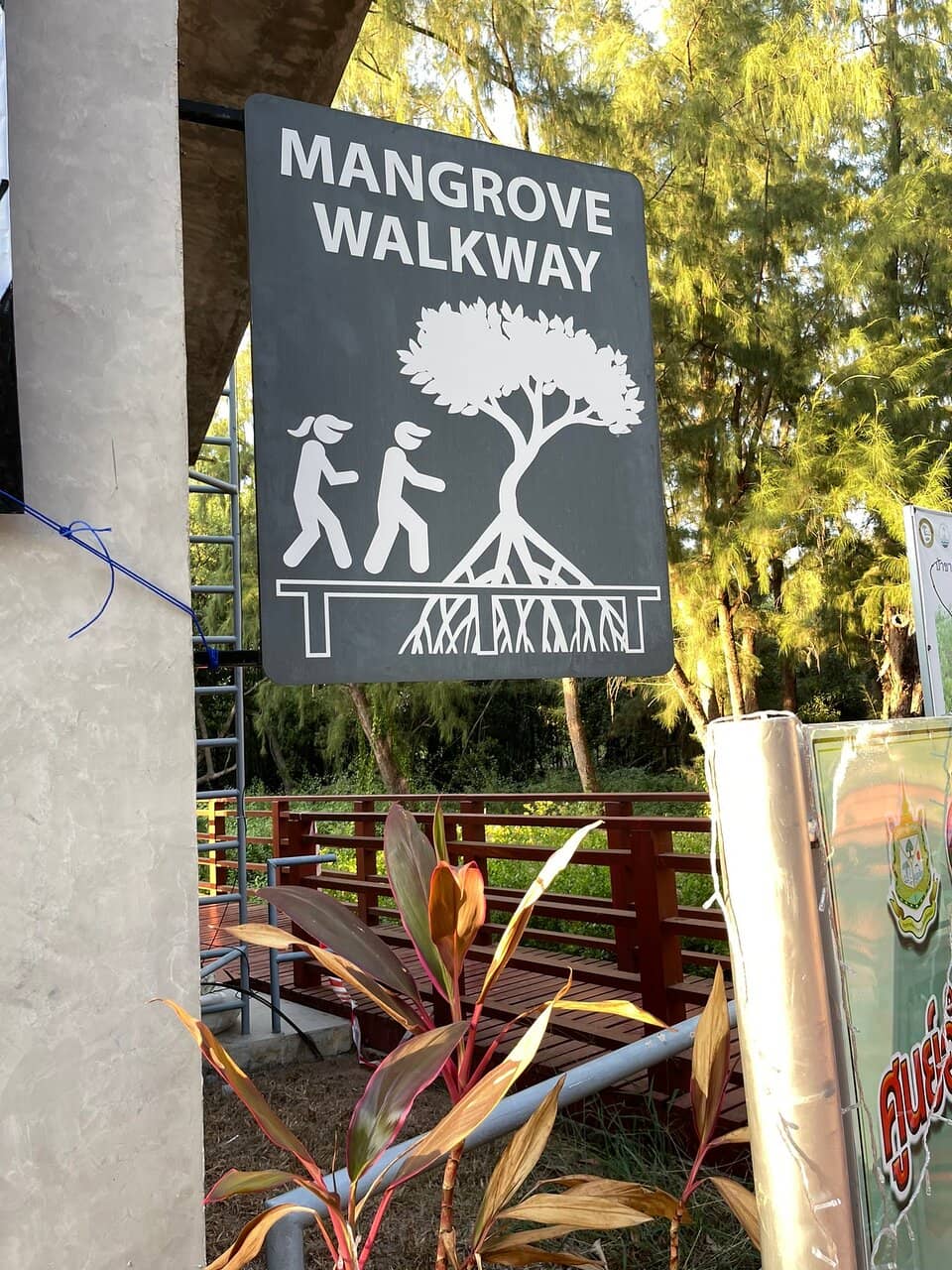 Urban Forest Project