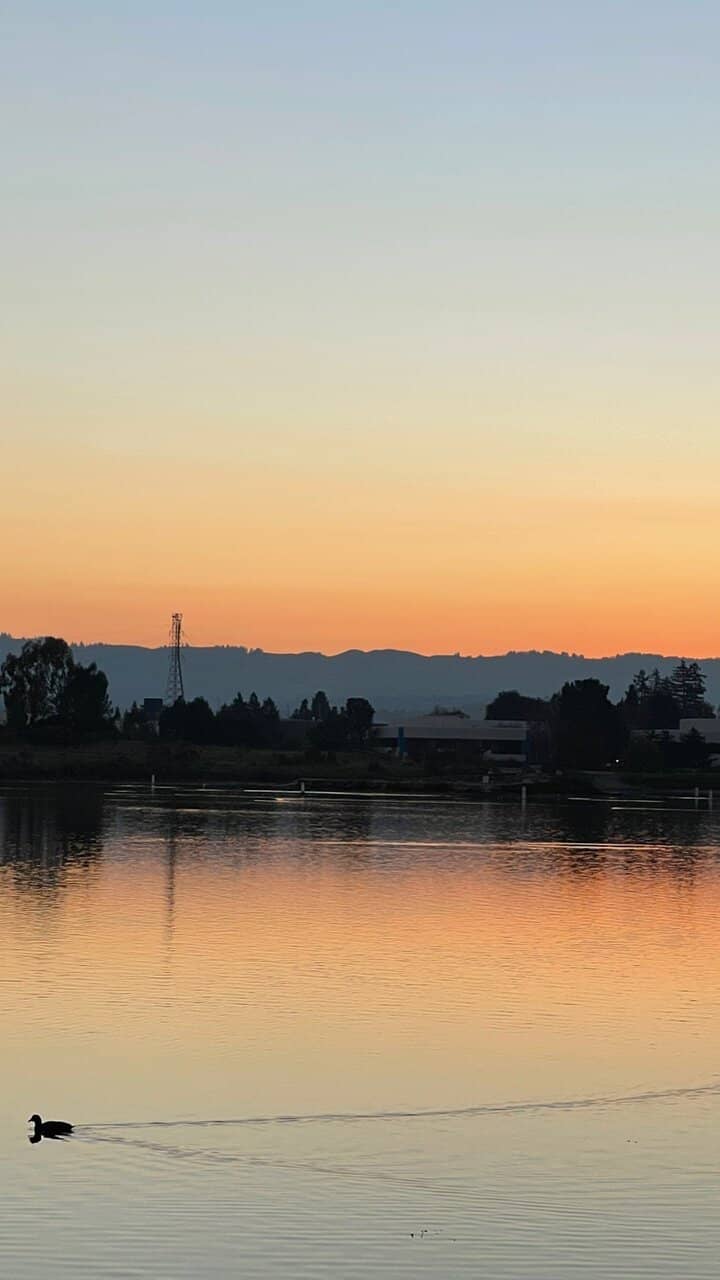 Bird Watching Opportunities