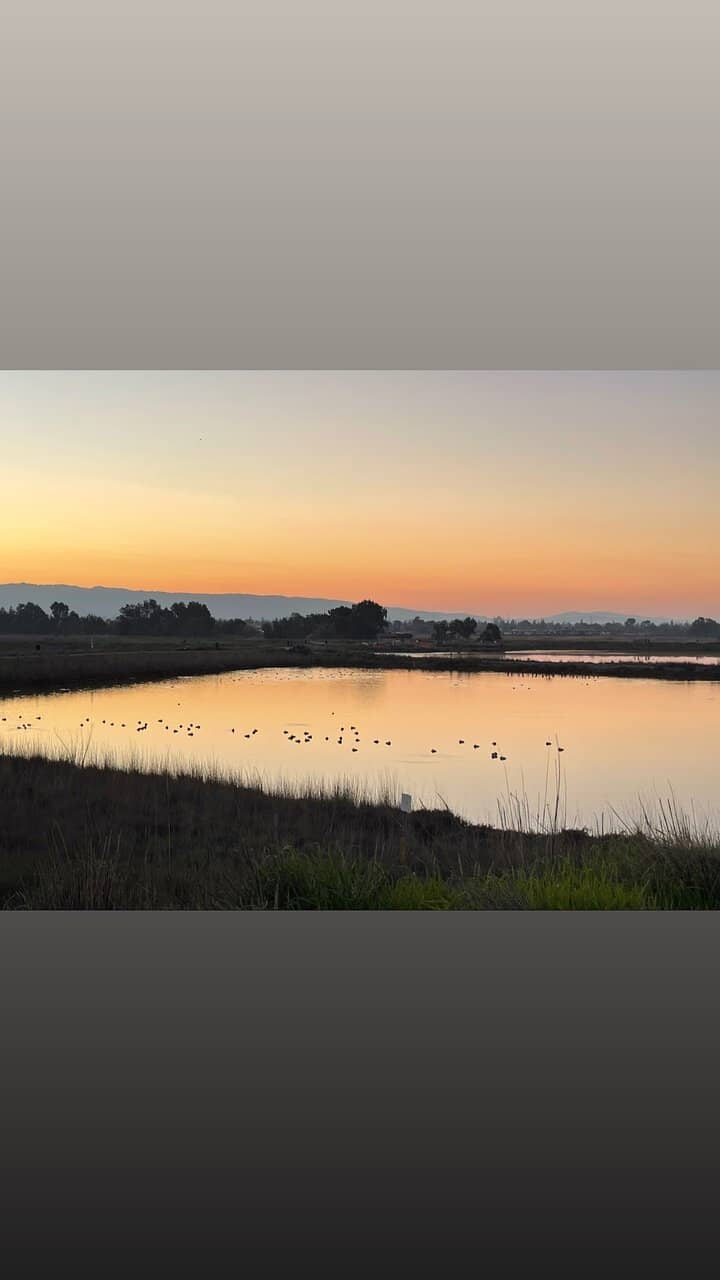 Water Sports Rentals