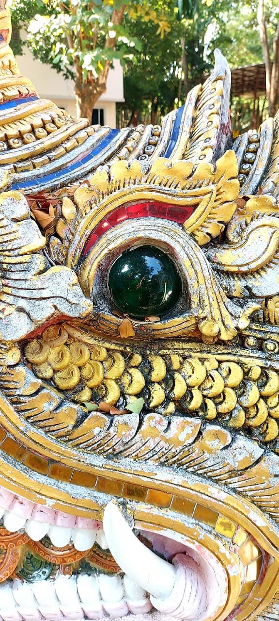 Authentic Local Experience