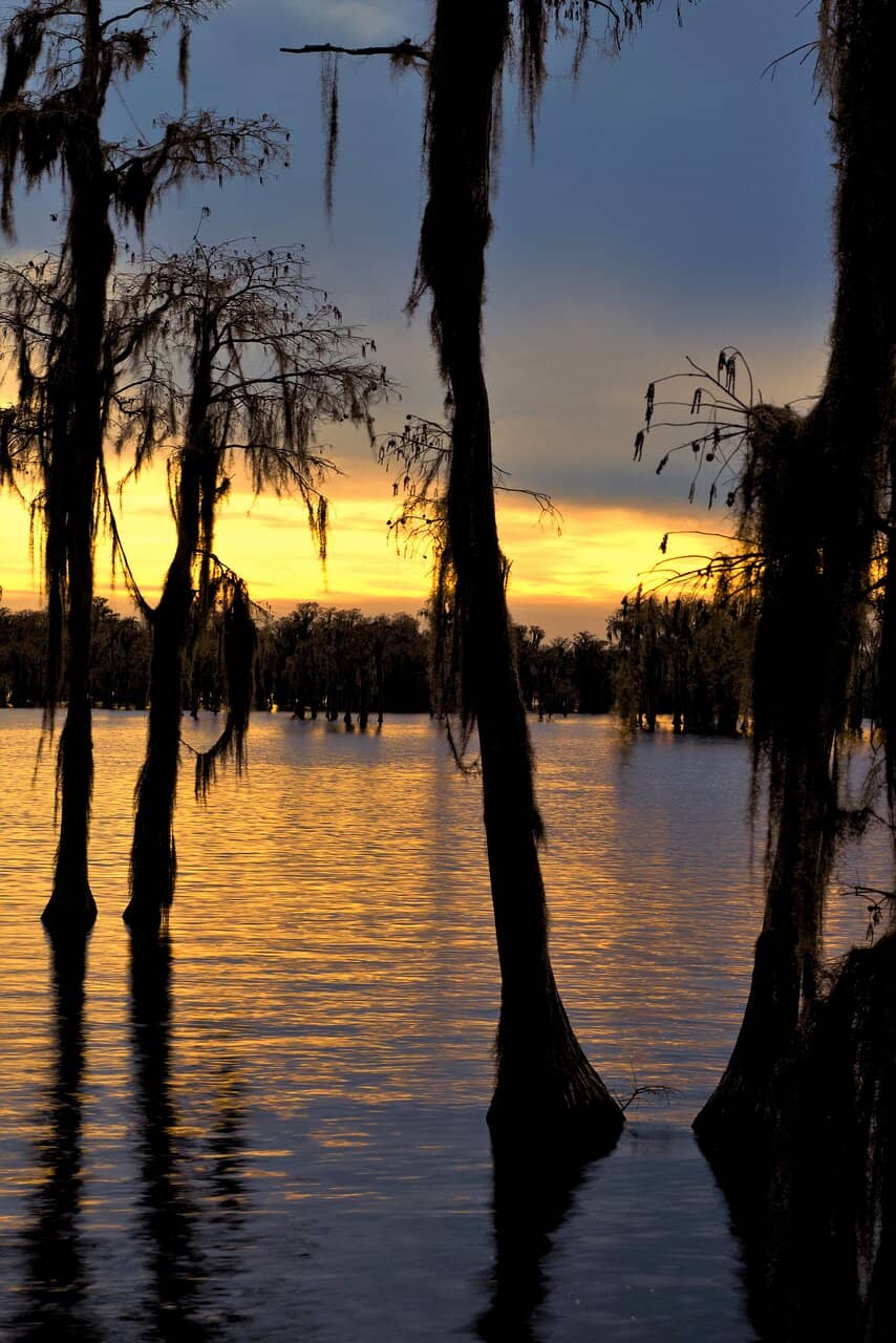 Tranquil Lake Exploration