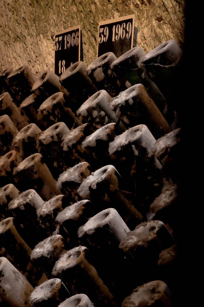 Art-Filled Chalk Cellars