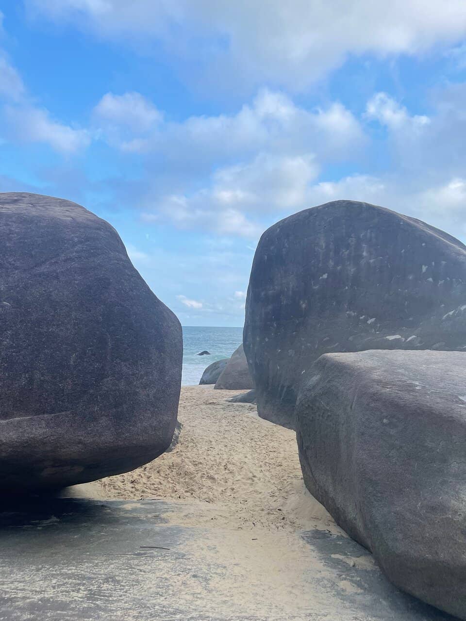 Vertical photo