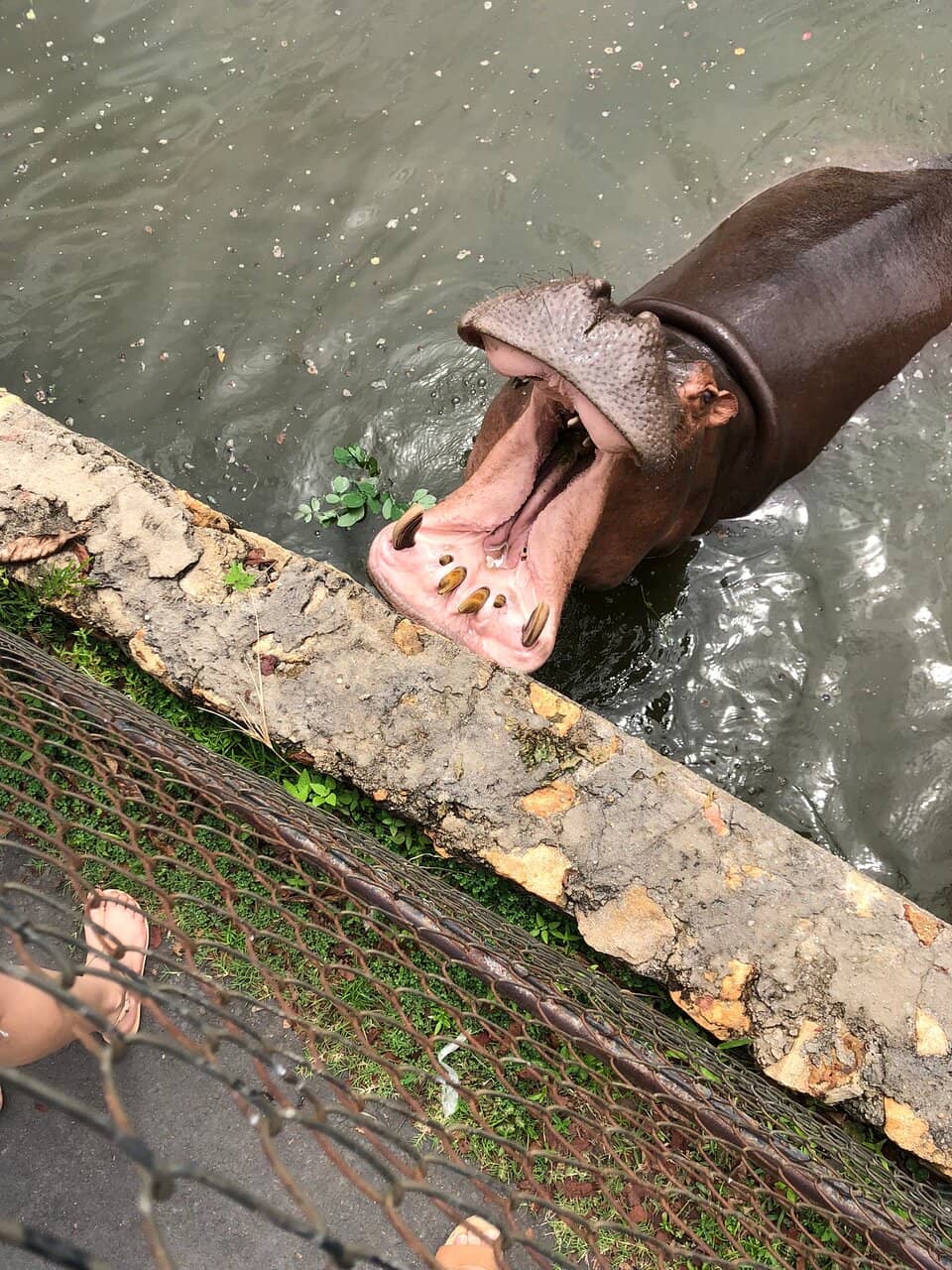 Educational Exploration