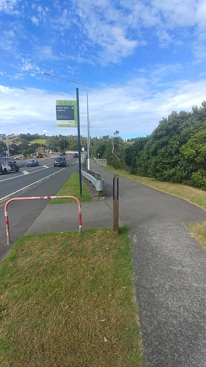 Panmure Basin Train Rides