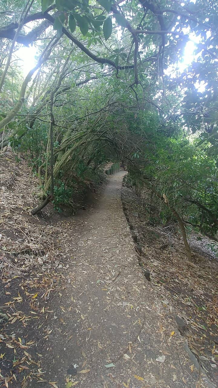 Orakei Basin Walkway