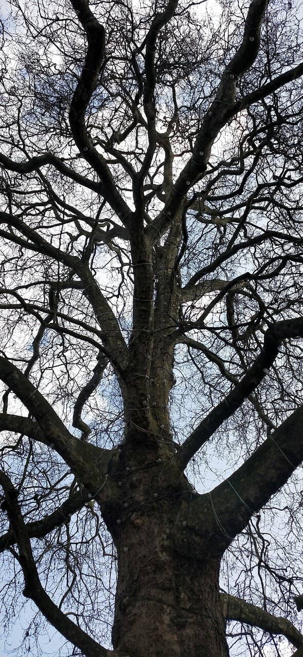 Hollywoodbets Kingsmead Stadium