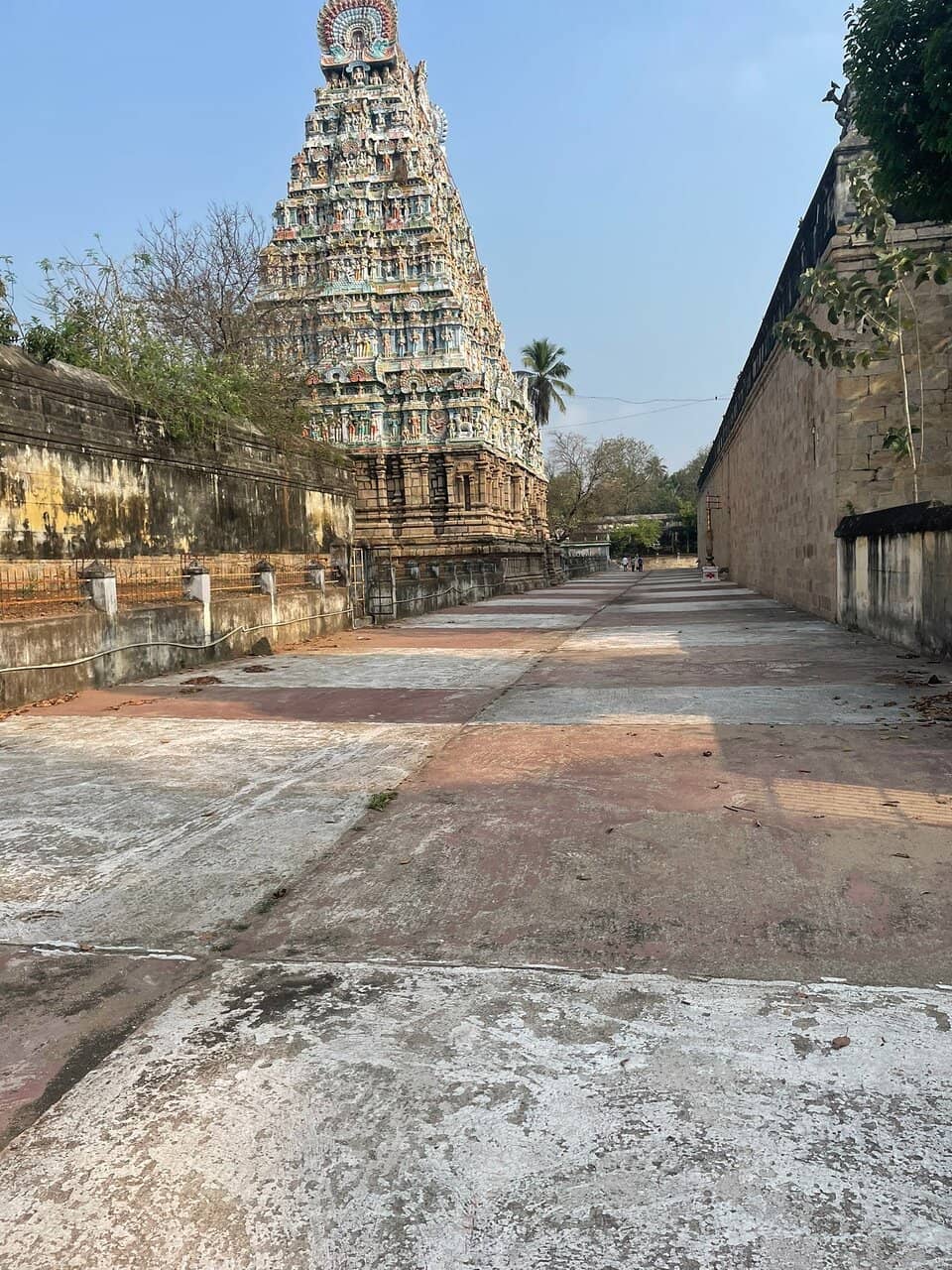 Vertical photo